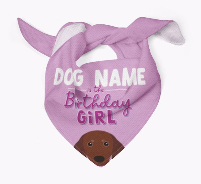 Birthday Girl: Personalized {breedFullName} Bandana